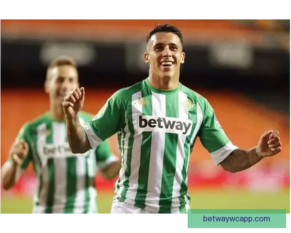 Betway中国平台优势解析及在国内博彩市场的潜力分析 Betway中国平台优势解析及在国内博彩市场的潜力分析