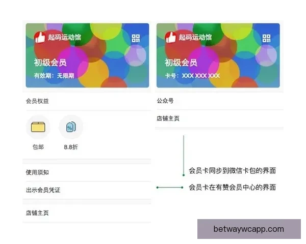 2026世界杯明星球员盘点：新一代足坛巨星崭露头角
