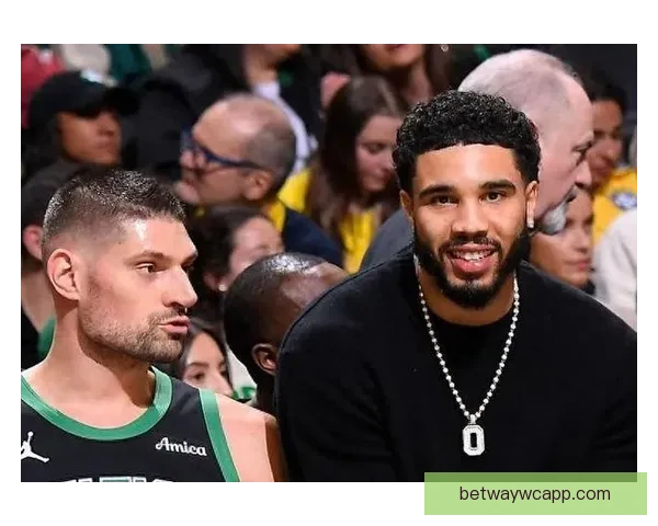 武切维奇无名指骨折康复顺利 三周内或重返赛场