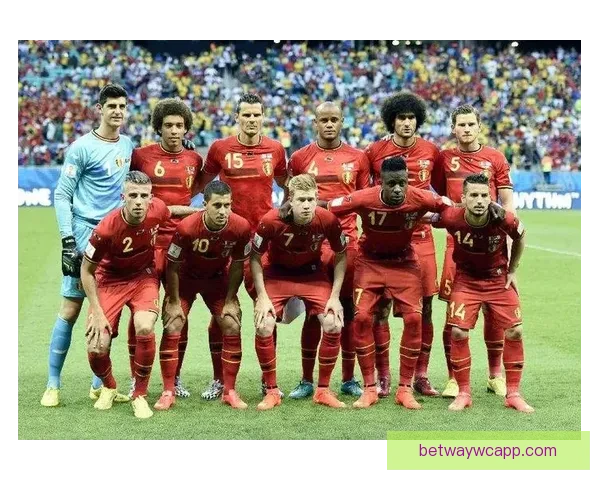 世界杯竞猜预测：全面分析各队实力与胜负趋势助你精准押宝